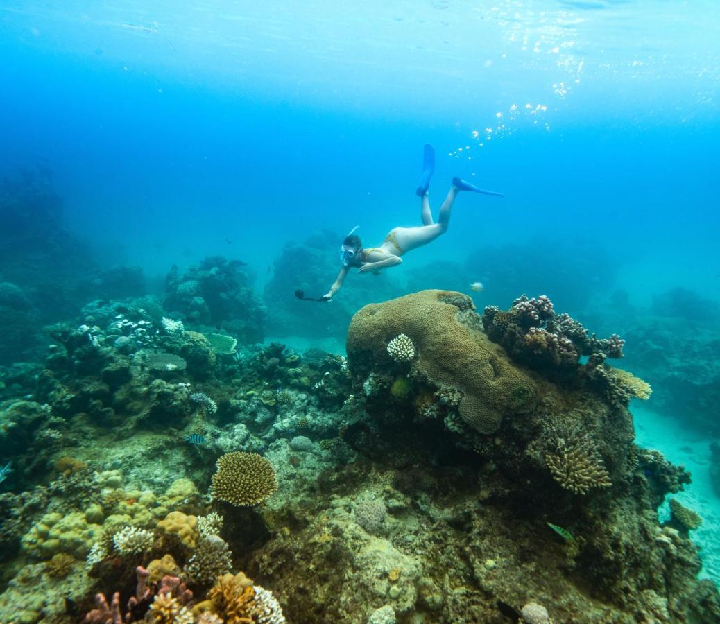 Royal Davui Island Resort (Adults Only) Экстерьер фото